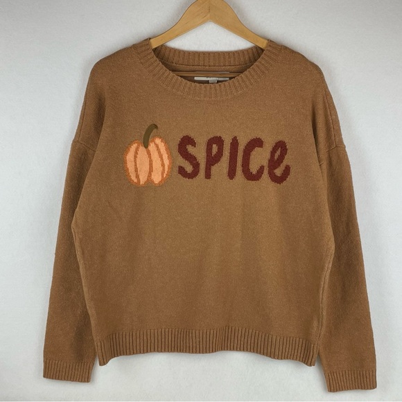 LOFT Sweaters - NWT Loft Sweater Pumpkin Spice Women’s Large Brown Fall Crew Neck Top